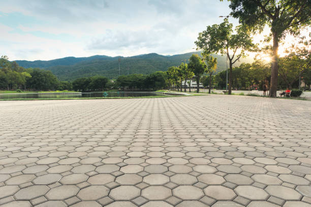 Best Affordable Driveway Paving  in Abbeville, AL