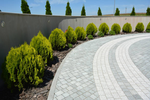 Professional Driveway Pavers in Abbeville, AL