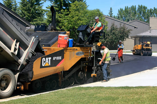 Best Driveway Paving Contractor  in Abbeville, AL
