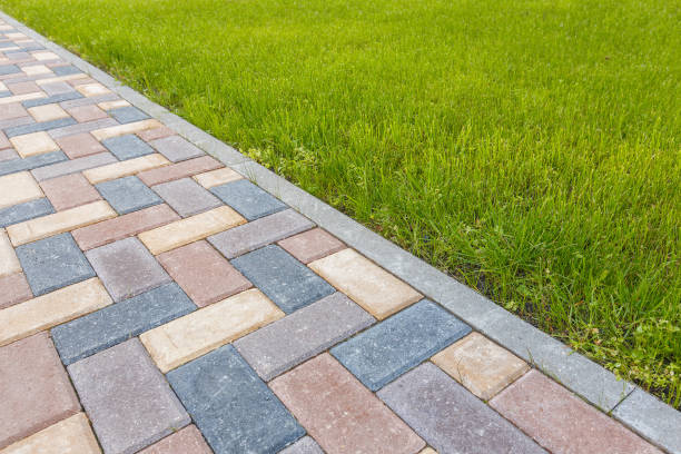 Best Professional Driveway Pavers  in Abbeville, AL